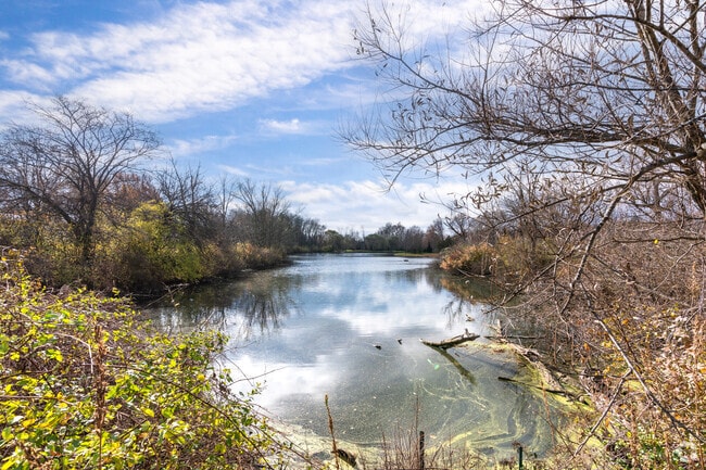 There is a beautiful pond surrounded by trees along Middle Branch trail in Martindale Park.