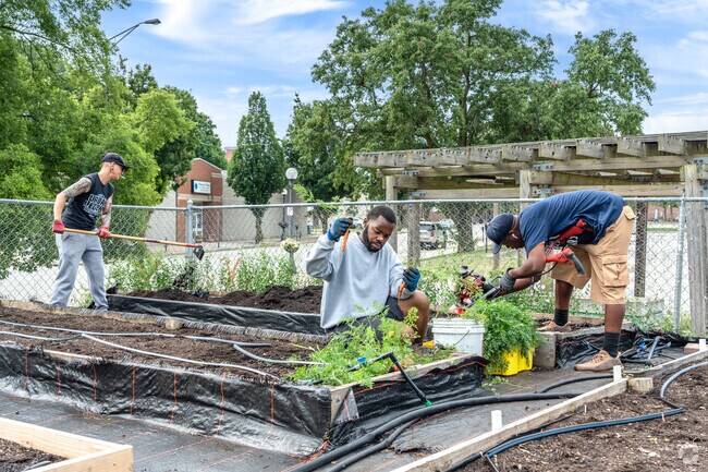 Workers harvest and plant new vegetables at Prosperity Gardens in Hill Street East.
