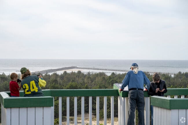 Local residents can be found whale watching in the Winchester Bay Neighbourhood.