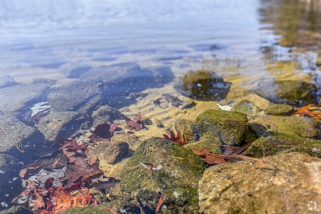 Lake Keowee borders one side of Six Mile and features pristine crystal clear waters.