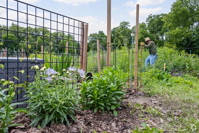 Residents can be found toiling away at Eagle Heights Assembly Community Gardens.