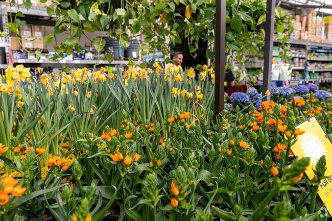 Shoppers prepare their yards and gardens for spring.