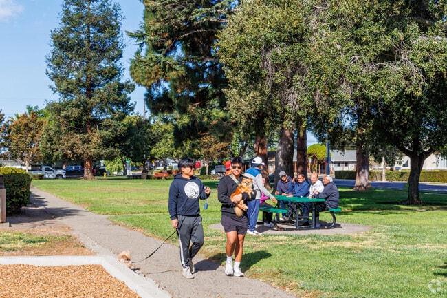 Meyer Park’s open space is perfect for dog walkers seeking a peaceful stroll in Glenmoor.