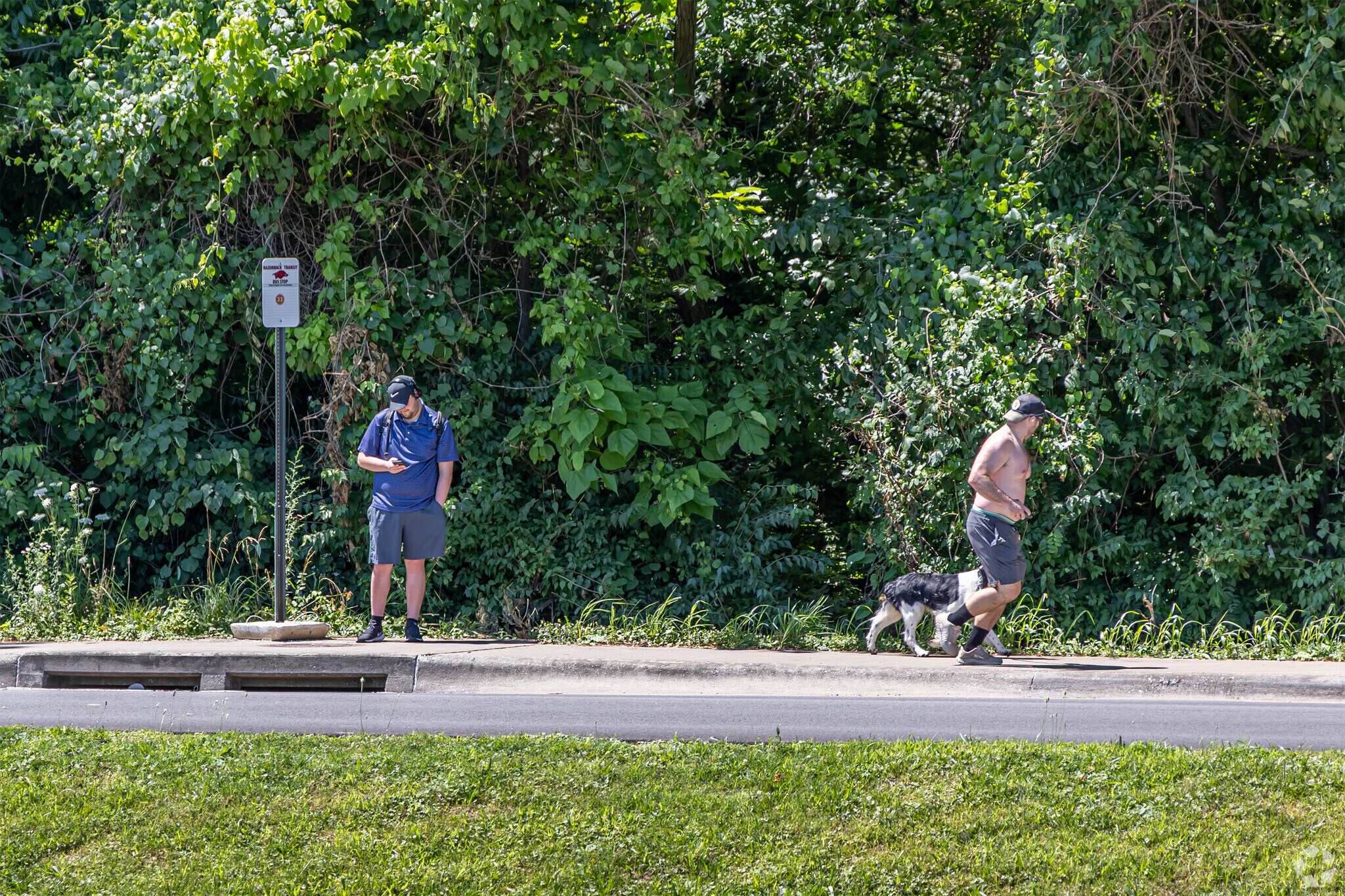Razorback transit offers multiple bus stops in the Asbell neighborhood.