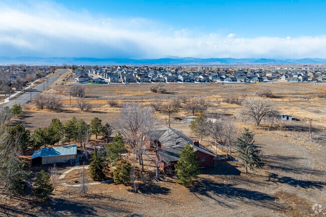 Firestone offers a diverse range of homes, from charming single-family houses to modern townhomes, catering to various lifestyles and budgets. The community's thoughtful development ensures that everyone can find their perfect place in this vibrant area.