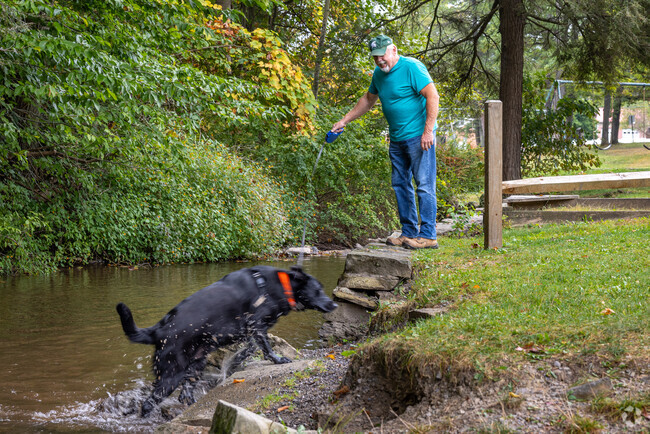 Reservoir Park is the perfect spot to walk and cool off your canine pal in Grazierville, PA.