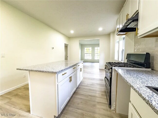 2483 E 89th St unit 101, Cleveland, OH 44104 - photo 7