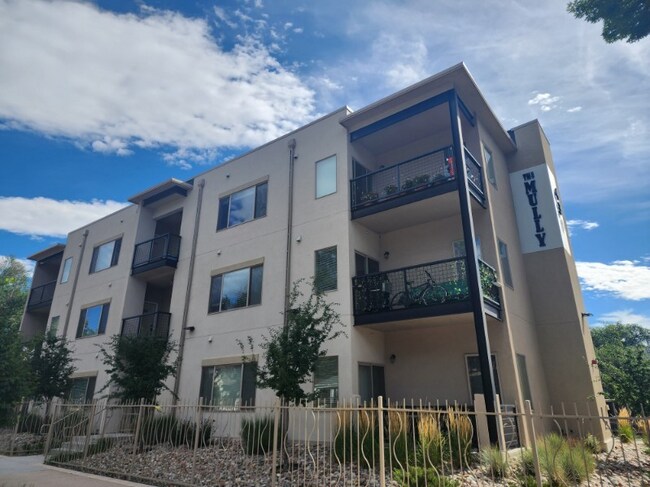 430 W Pikes Peak Ave unit 103, Colorado Springs, CO 80905 - photo 6