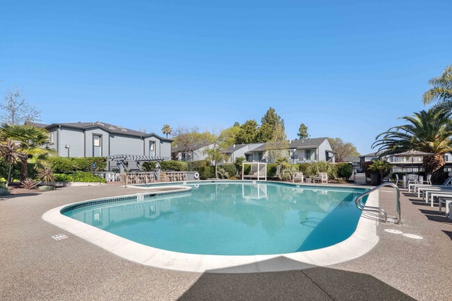 IMT Pleasant Hill, Pleasant Hill, CA 94523 - photo 3