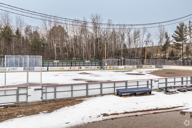 Woodland Park features 3 outdoor ice rinks.