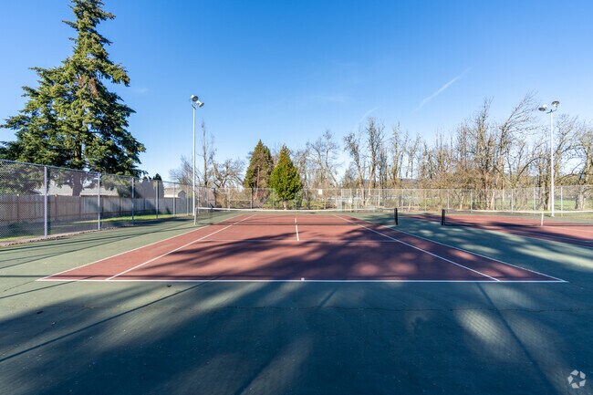 Visitors can play a game of tennis on the courts at Guy Lee Park in Springfield.