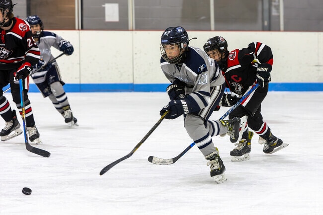 Enjoy skating at the Monument Ice Rinks near Monument, Colorado.