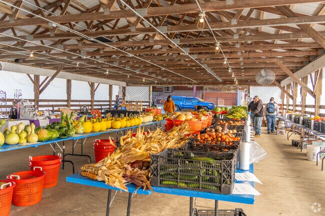 Harvest Honey & Garlic Festival has plenty of fresh produce to check out.
