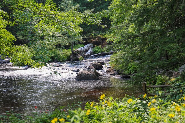 The Blackwater River runs through the center of Webster adding to the town's beauty.