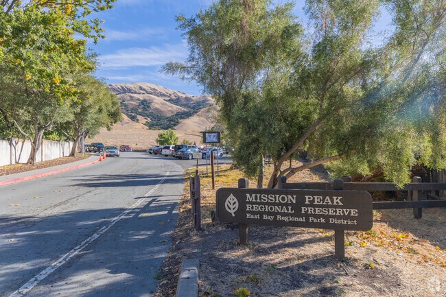 Weibel's Mission Peak Regional Preserve's 3+ mile hike takes you to the summit.