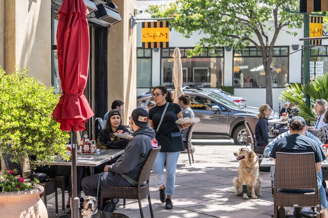 Cafe M is a favorite brunch spot for locals and their dogs.