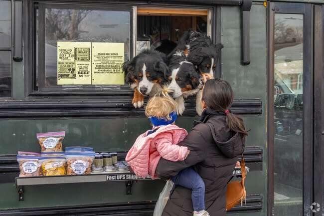 You can buy fresh organic Dog food from a converted school bus in Perkasie.