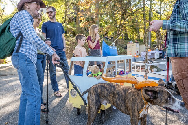 Families from all around Athens come out for the annual Boo-le-bark in the Park event.