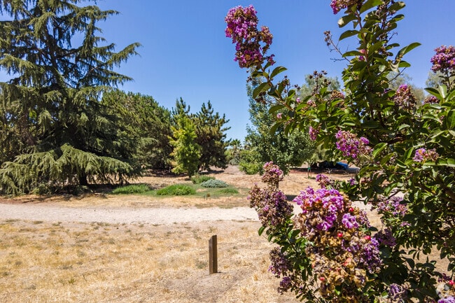 Go for a walk in the Hughson Arboretum and Gardens.