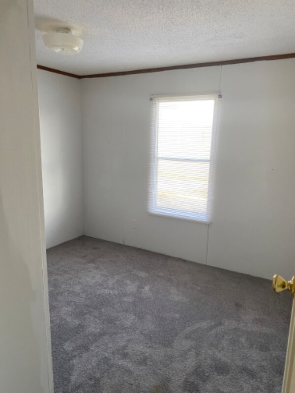 2608 New Hope Rd, La Grange, NC 28551 - photo 5