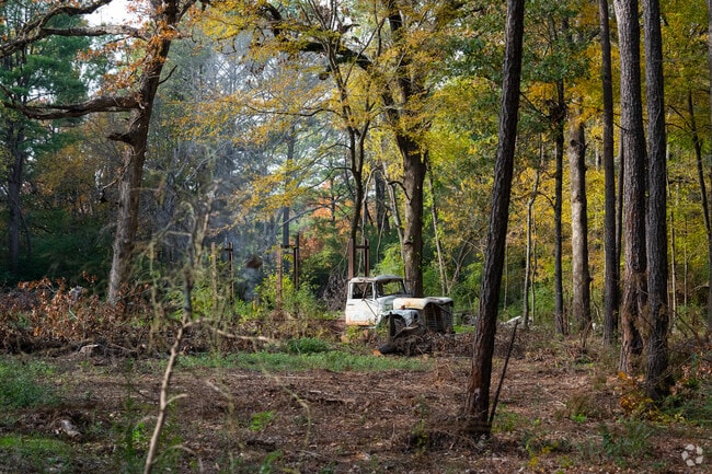 Weathered antique truck sits on private land in the Town Center neighborhood.