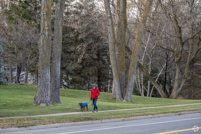 Alimagnet has many trails and sidewalks for dog walkers.