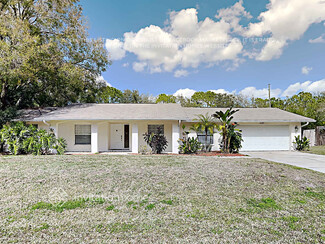22125 Laver Ln, Land O' Lakes, FL 34639