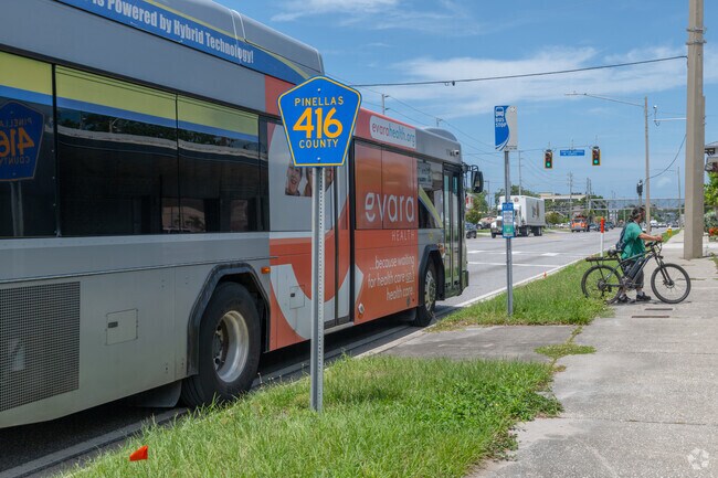 Several routes connect the Palm Hill neighborhood to Clearwater, Tampa,  and St. Petersburg.