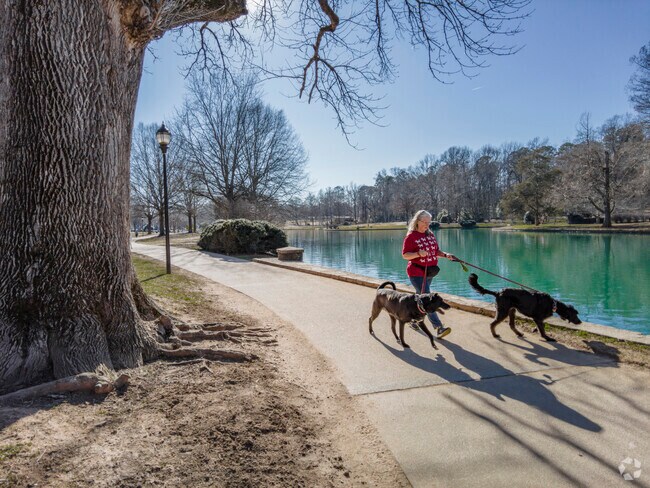Pet parents love the large sidewalks and exciting surroundings of Freedom Park.