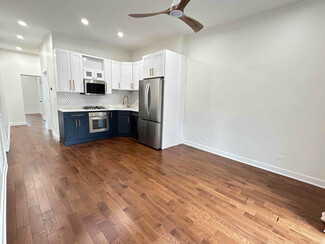 1529 N Maplewood Ave Unit 1, Chicago, IL 60622