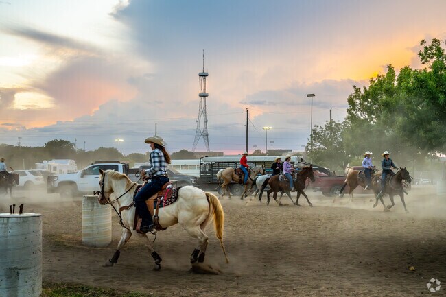 You can catch the thrill of the annual Mesquite Championship Rodeo Finals in Valley View.