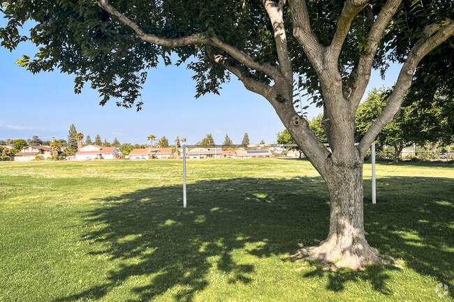 Alta Loma Junior High has wide green spaces for active students.