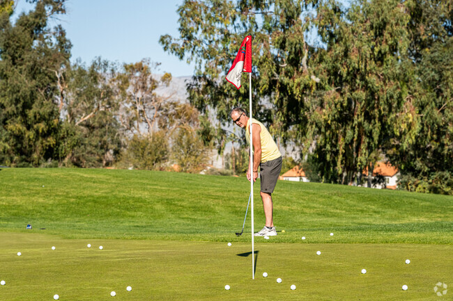 Avondale residents can practice or enjoy a round of golf at Desert Falls Country Club.