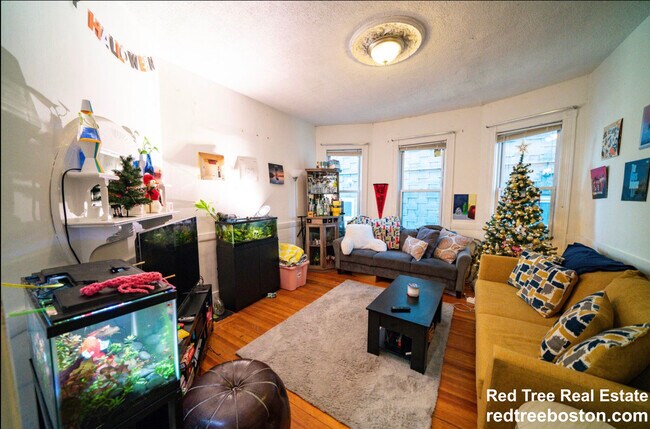 35 Calumet St unit 2, Roxbury Crossing, MA 02120 - photo 6