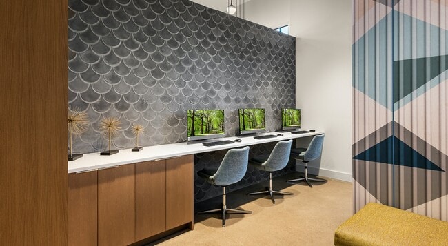 Roadrunner on McDowell, Scottsdale, AZ 85257 - photo 6