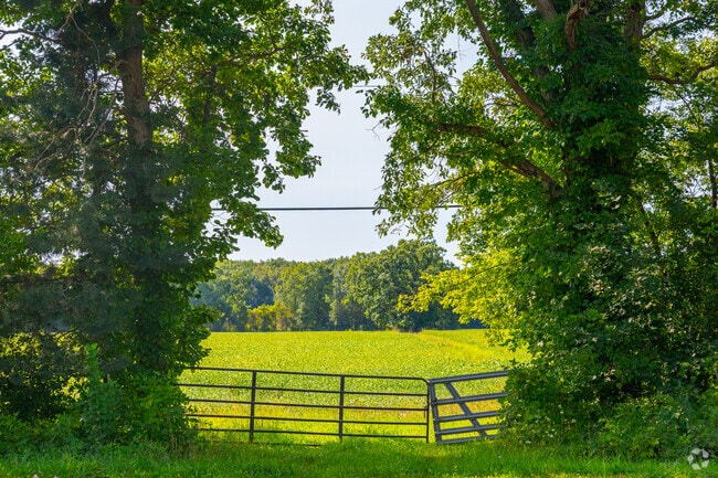 Enjoy the vast green fields and farmland views in Vienna Township.