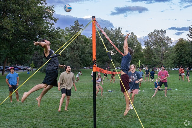 Mulberry Hill friends gather to play volleyball at Fort Collins City Park.