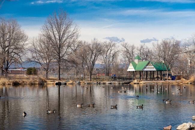 The pond at Sterne Park is a great place to relax and watch the ducks.