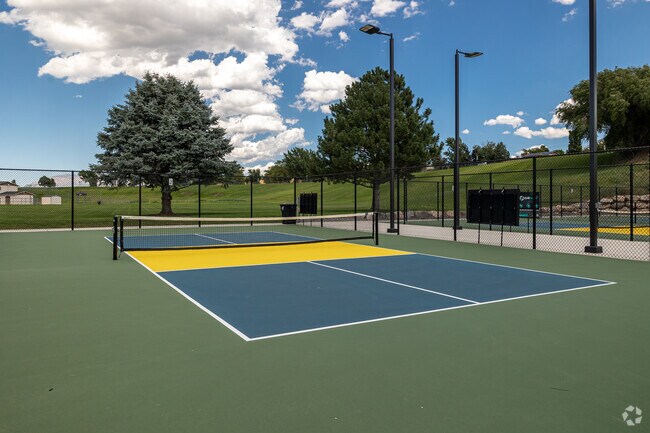 Rohmer Park is a great place to play pickle ball.