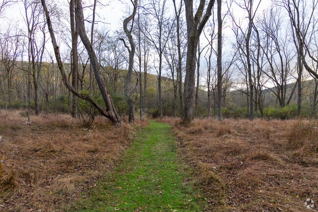 While walking the trails at the Williamsport Water Authority Trails, Armstrong locals have great mountain views.