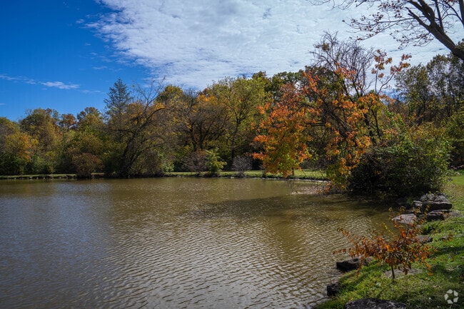 Leaves change color across Brecknock Township Lancaster in autumn.