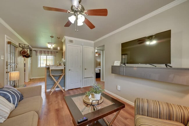 220 Mitchell St unit ID1314861P, Nacogdoches, TX 75965 - photo 3