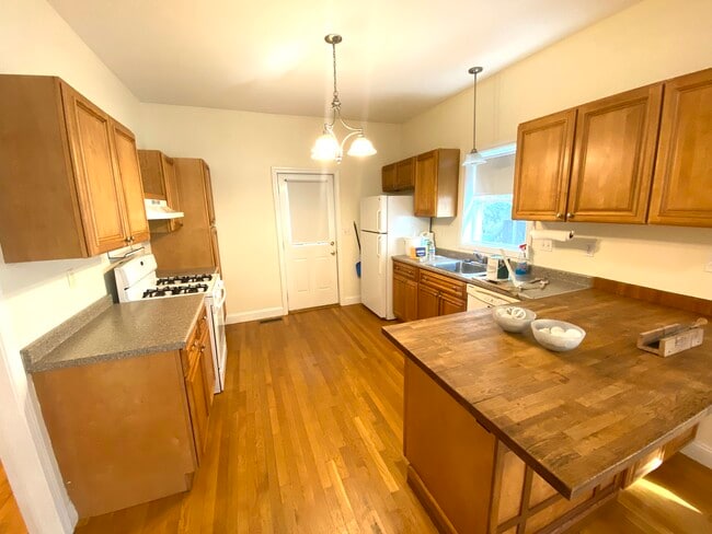 20 Clarendon St unit 1, Watertown, MA 02472 - photo 2