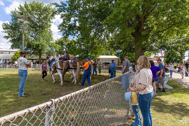 Wellington’s 2025 Lorain County Fair drew cheerful crowds to browse local vendors, with horseback riding stealing the spotlight as a family favorite.