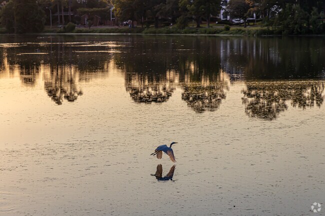 Enjoy a sunset along University Lake in Highlands/Perkins.