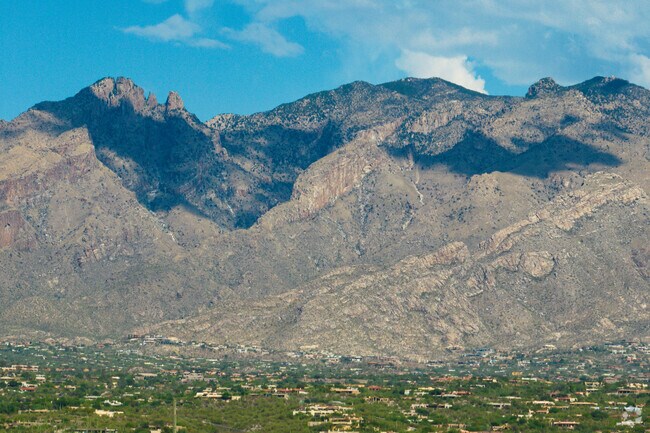 Mesquite Ranch homes enjoy views of the nearby Mica Mountain and desert landscape.