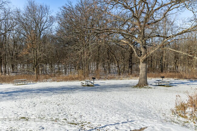 Coral Woods Conservation Area is a 775-acre nature preserve in Riley.