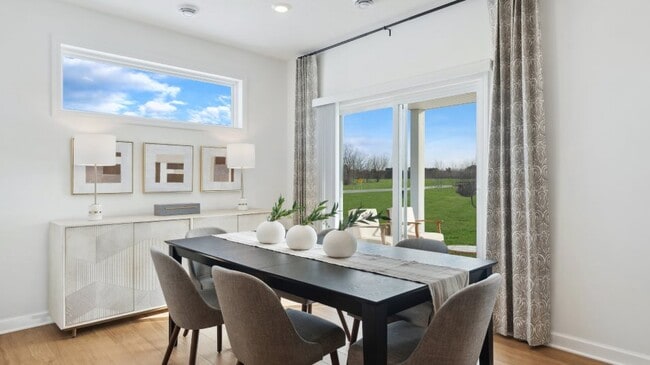 20145 Ginseng Way, Lakeville, MN 55044 - photo 7