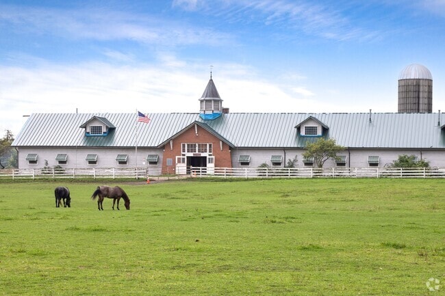 Horses are often seen in the quiet village of Mccullom Lake.
