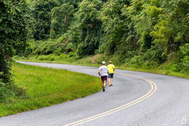 Blue Ridge Mountain Trail north of Schuyler is a popular meeting spot for runners and walkers.